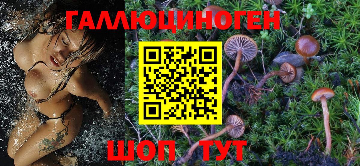 Галлюциногенные грибы Cubensis Дальнереченск